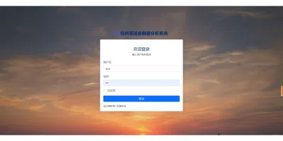 杭州亚运会数据分析系统